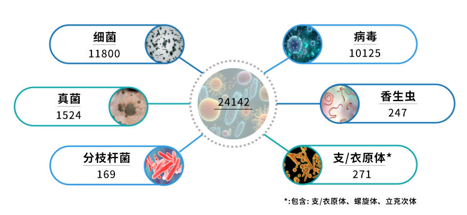 微信圖片_20240617132244.jpg